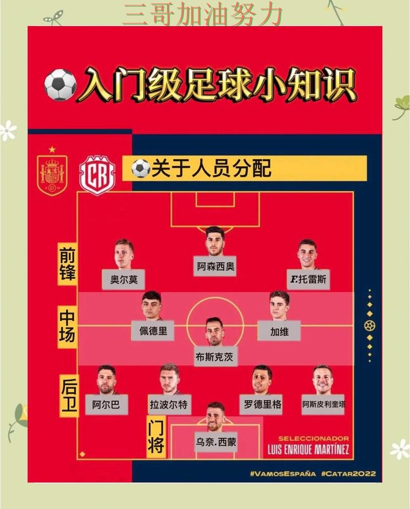 世界杯买球是否安全指南：真实体验全流程解析（世界杯数据）